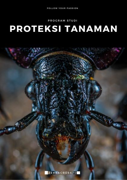 Jurusan Proteksi Tanaman.